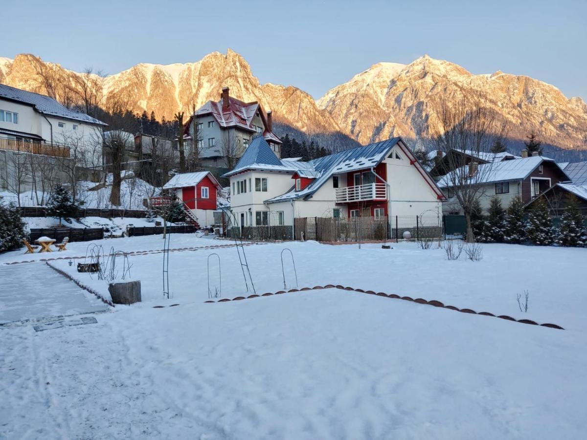 Casa Turta Dulce Hotel Buşteni Eksteriør billede