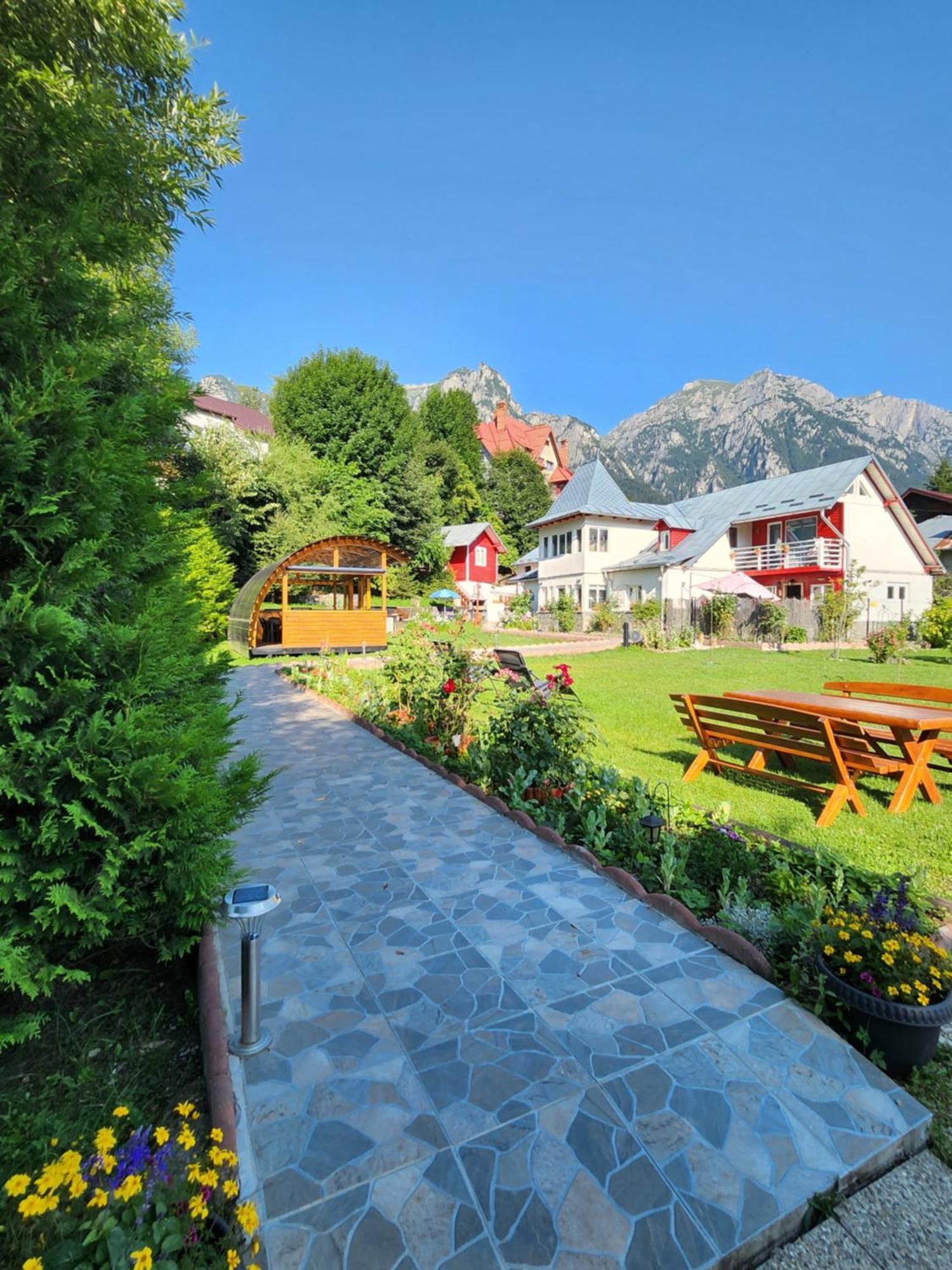 Casa Turta Dulce Hotel Buşteni Eksteriør billede